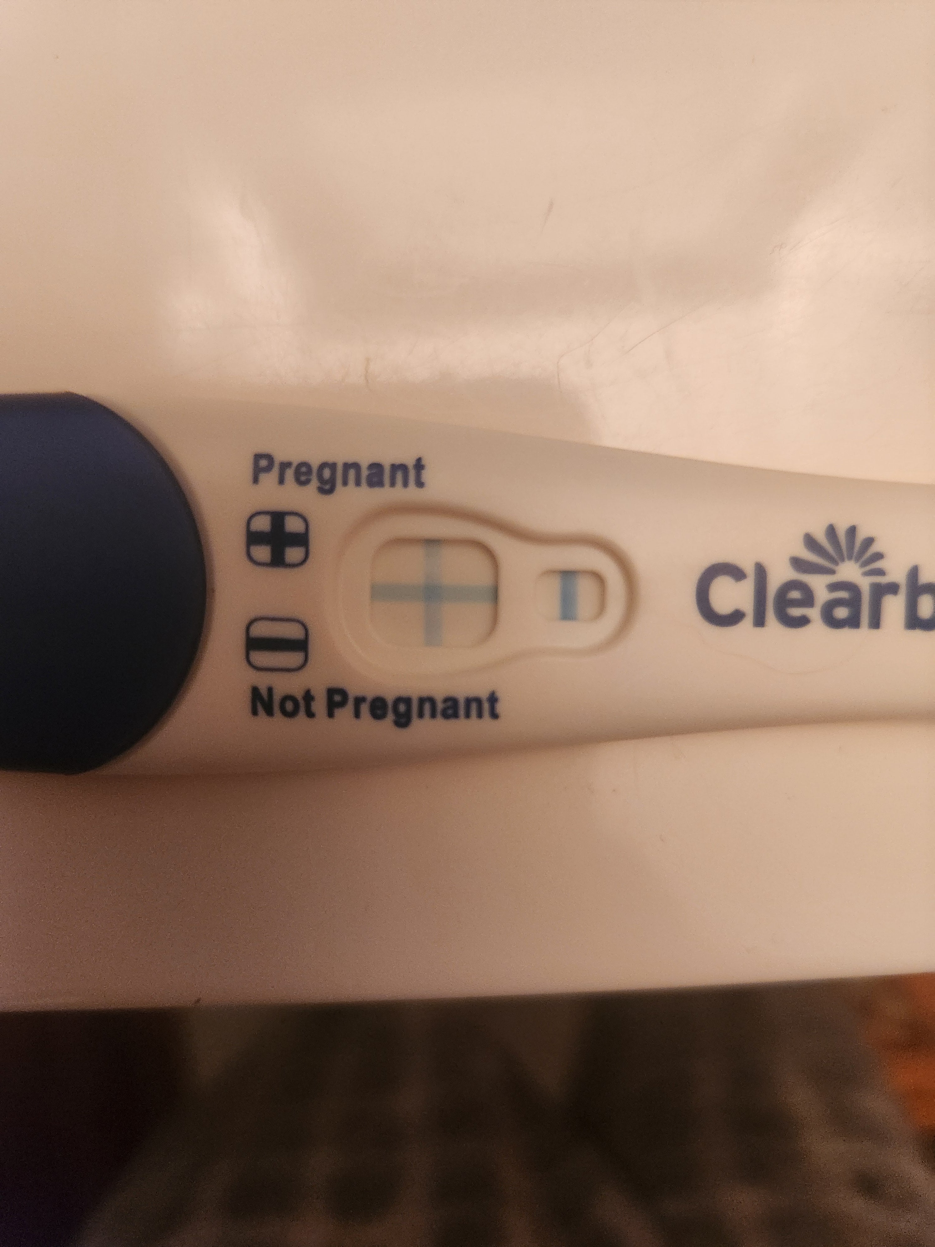 Pregnancy Test