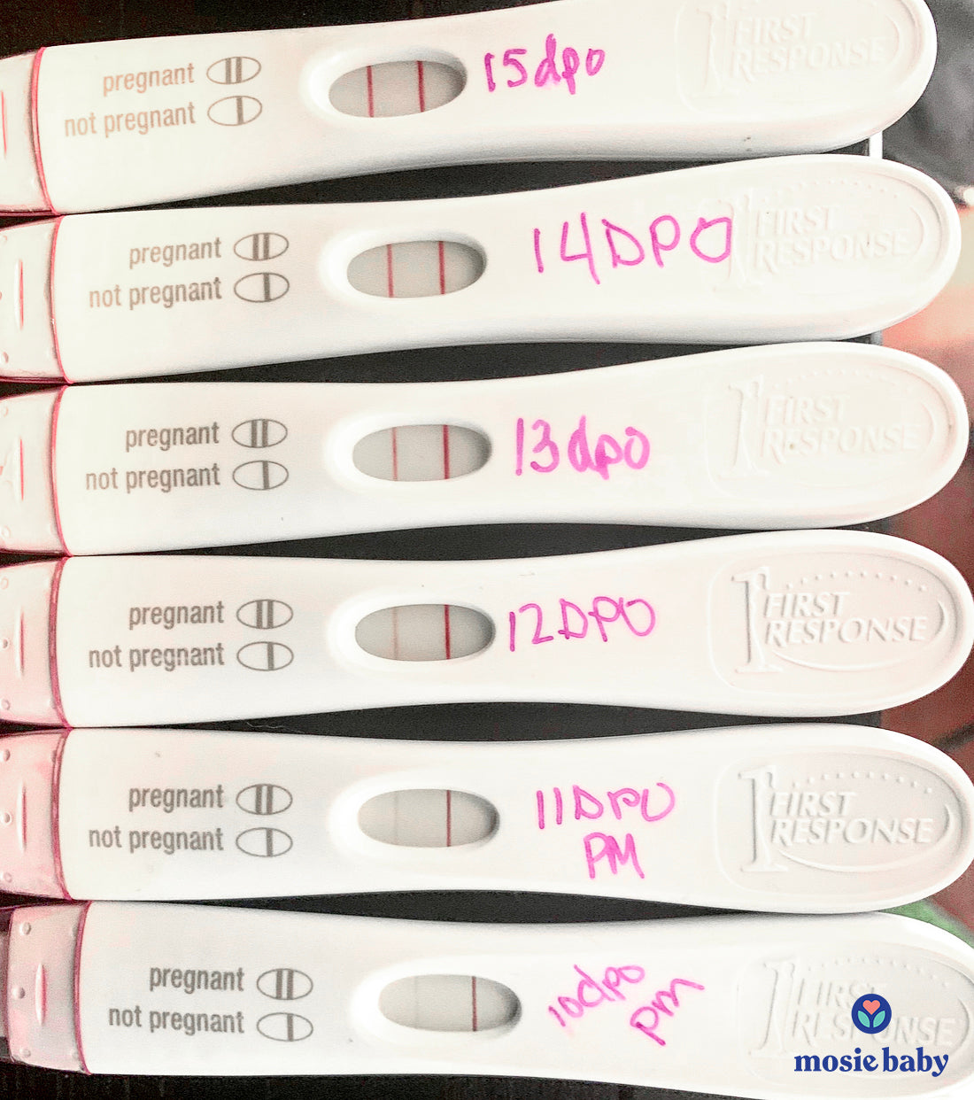 Surrogate Carries Mosie Baby for Papas-To-Be!