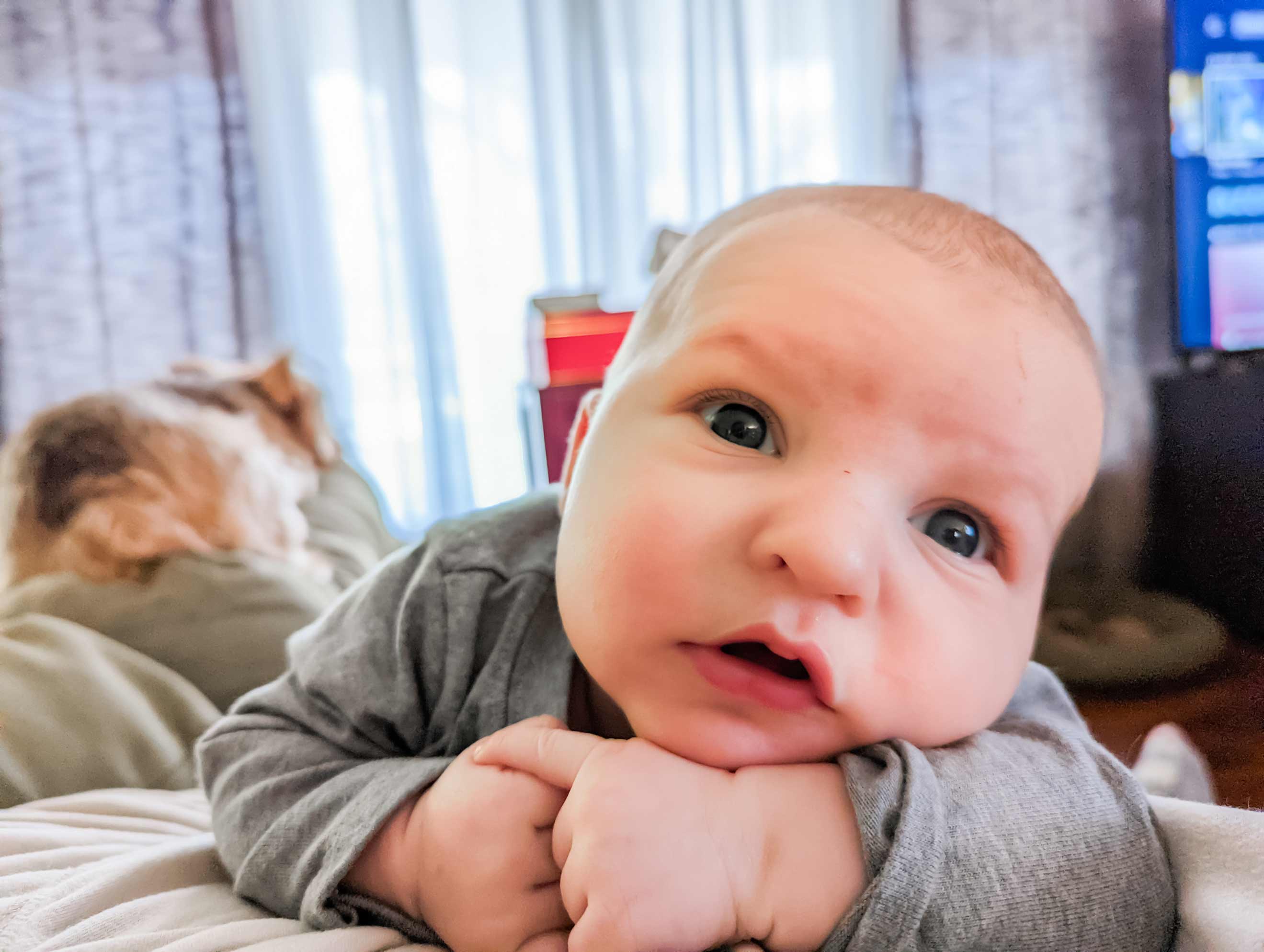 Mosie Baby boy laying on tummy and propped up on arms in living room of home.