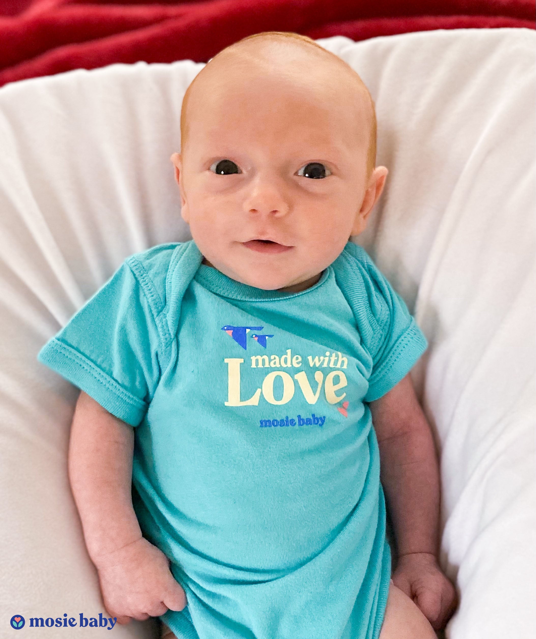 From Heartbreak to Pure Joy, One Family’s Conception Journey