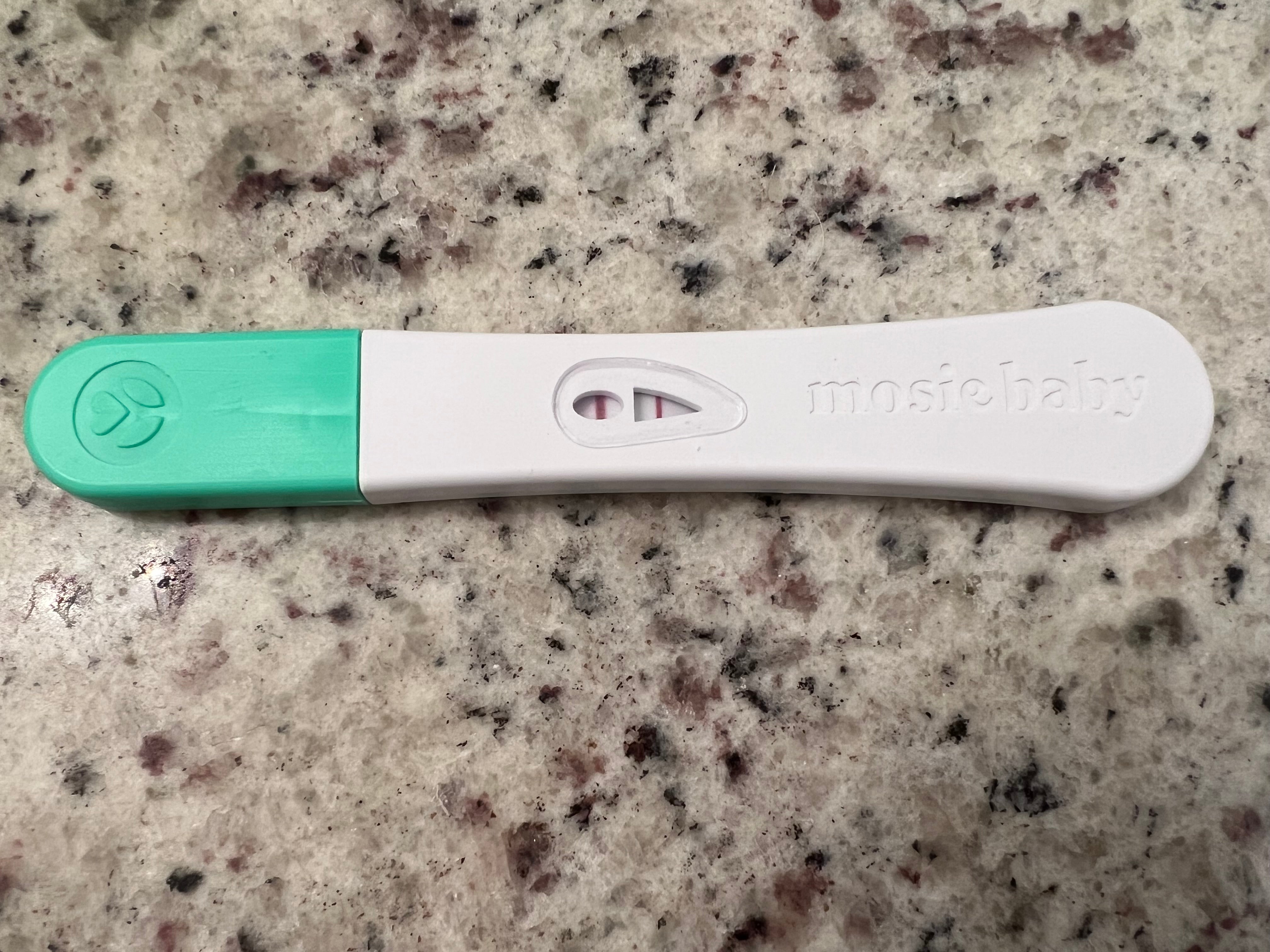 Pregnancy Test